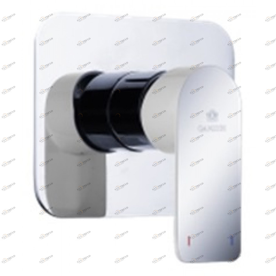 GZ 21055 Смеситель встраиваемый округлый Ganzer Хром Ganzer Германия 13938