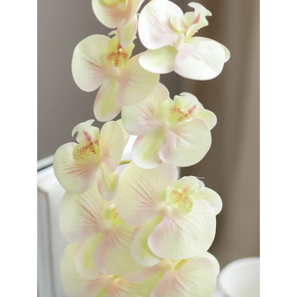 89356246 Искусственное растение в горшке орхидея h50 см цвет желтый STLM-0964339 Santreyd  - Вид №5