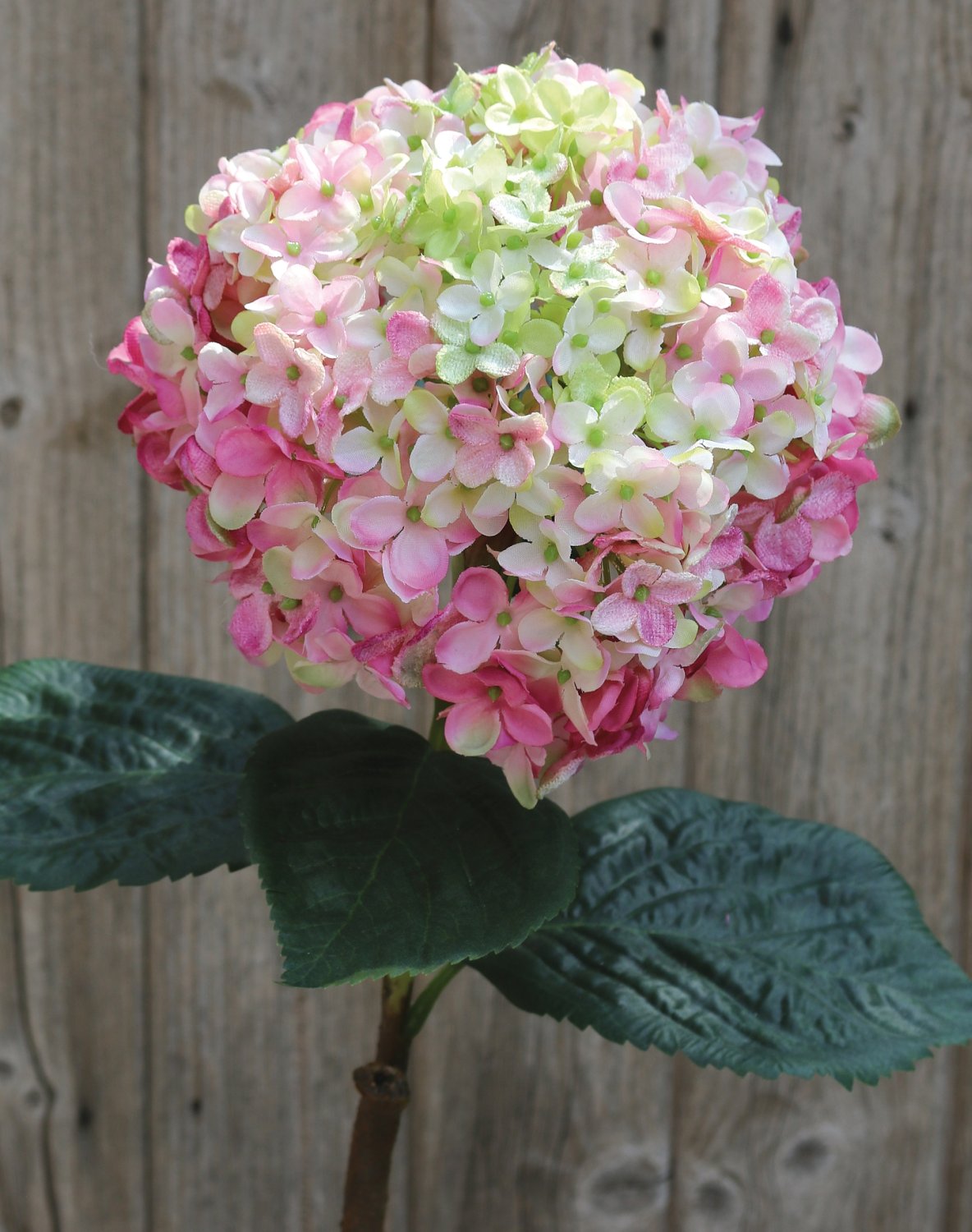 2271 508 a3 Искусственная гортензия, 60 см, розово-зеленая H-andreas  - Вид №5