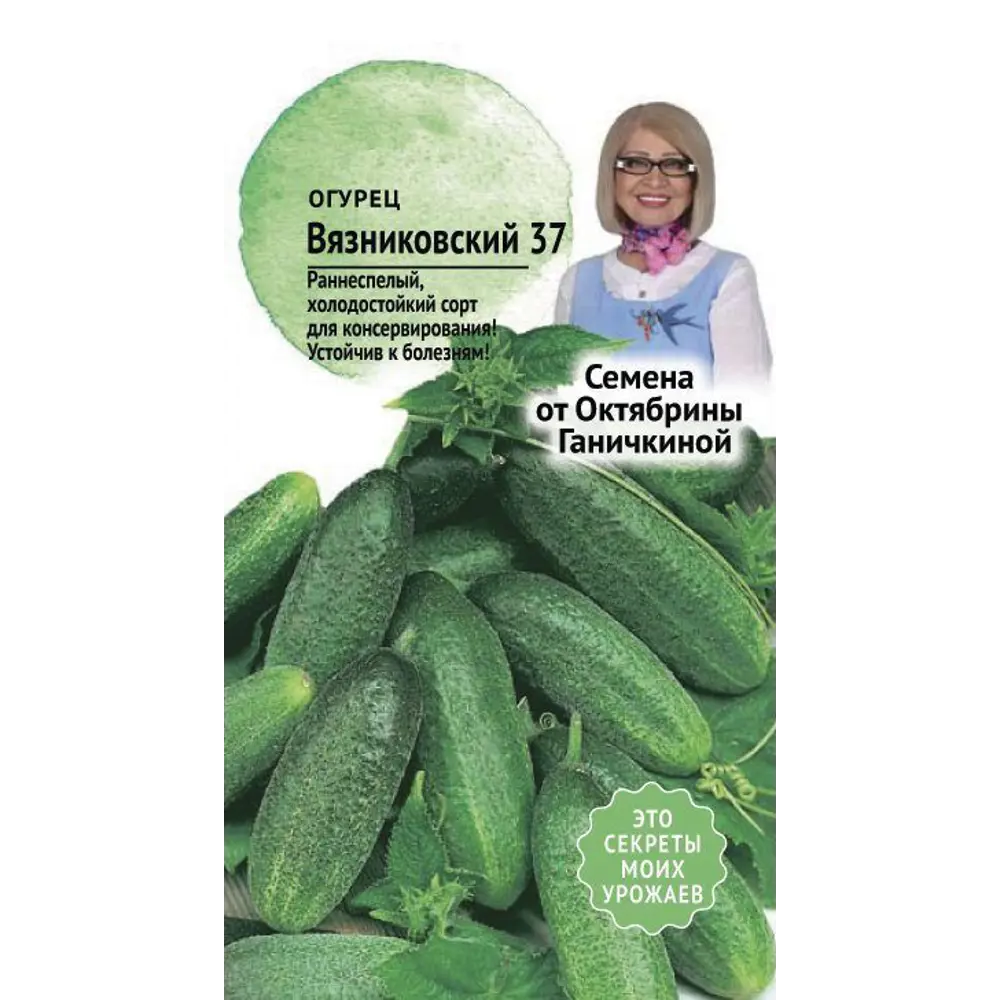 Семена Огурец «Вязниковский 37» 83230059 STLM-2031212 СЕМЕНА ОТ ОКТЯБРИНЫ ГАНИЧКИНОЙ 