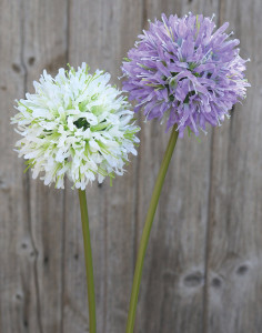 2937 227 a2 Шелковая лилия Нила, 62 см, светло-фиолетовый-темно-фиолетовый H-andreas