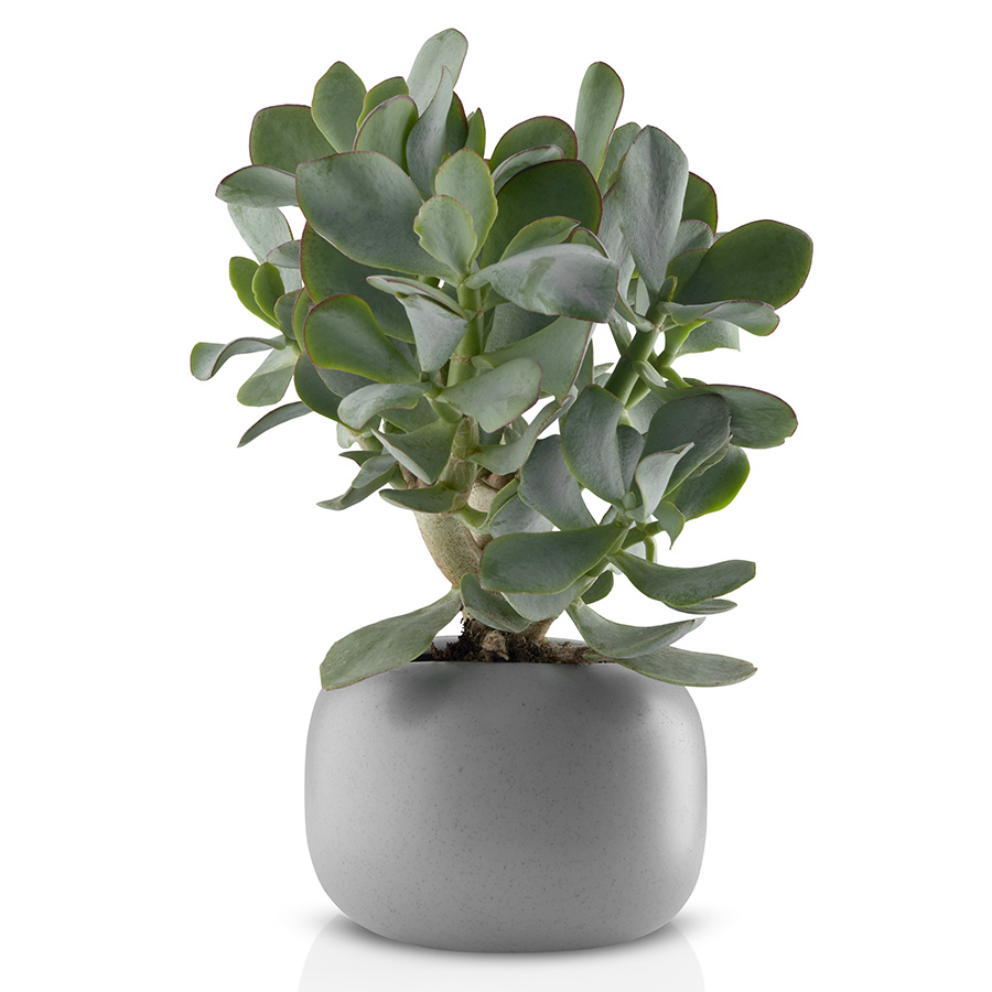 568170 Горшок для растений stone, D16 см Eva Solo  - Вид №3