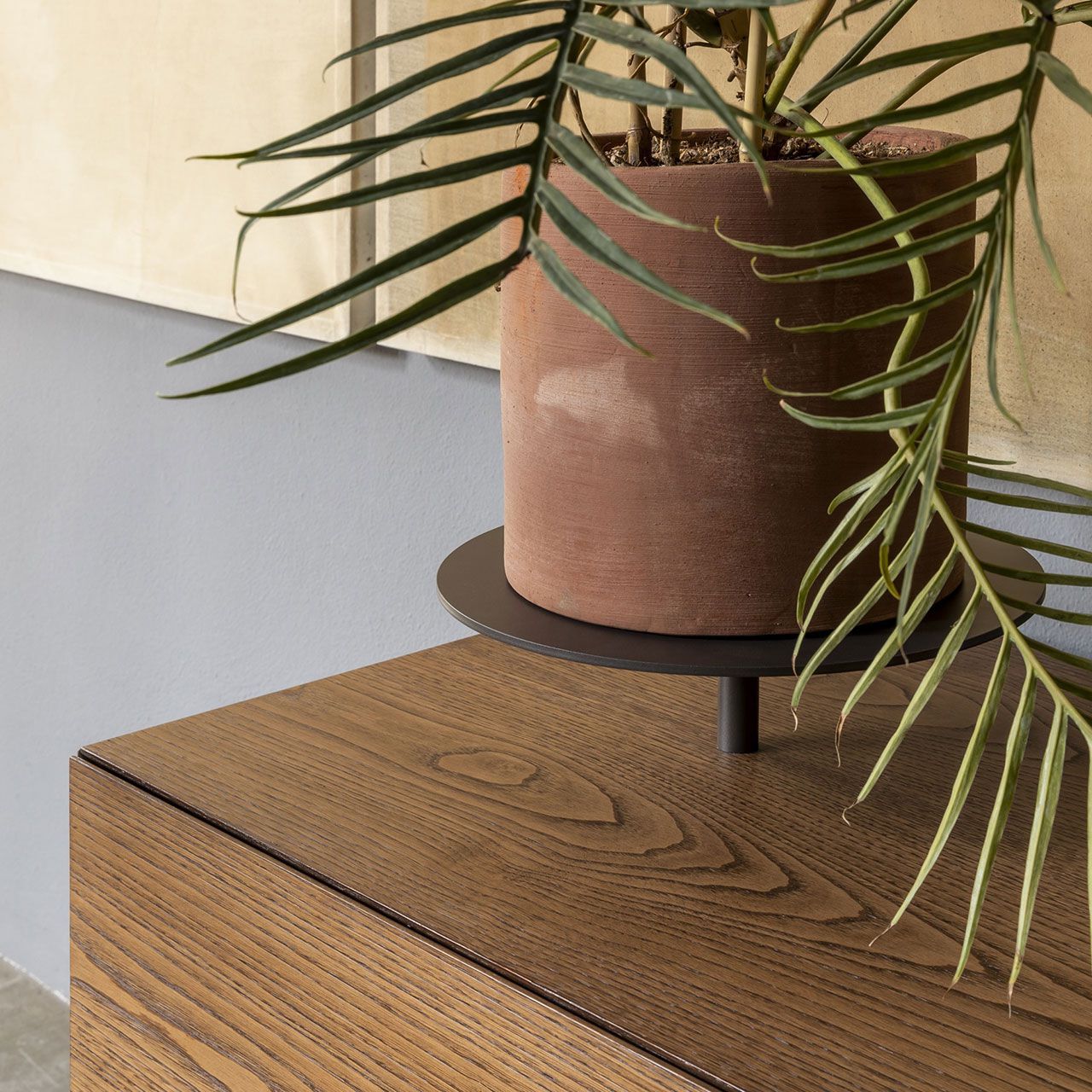 Шкаф из МДФ Mogg икебана ARCH-00128520 - Вид №7