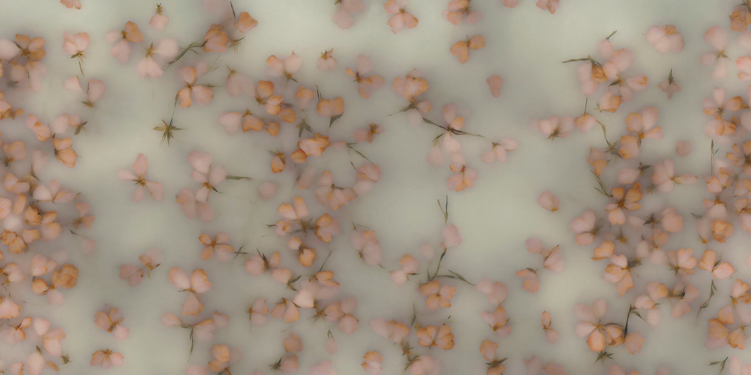 Обои с цветочными мотивами MILLE997 Floral Dream ARCH-00099225 - Вид №1