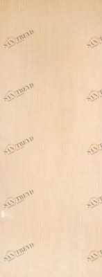 Glitter Nacar 20x50 Argenta sun-id-313564