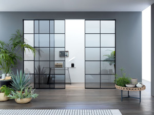 Алюминиевая и стеклянная дверь