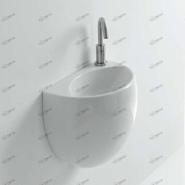 41893 Подвесная раковина настенная овальная   белая Santreyd 