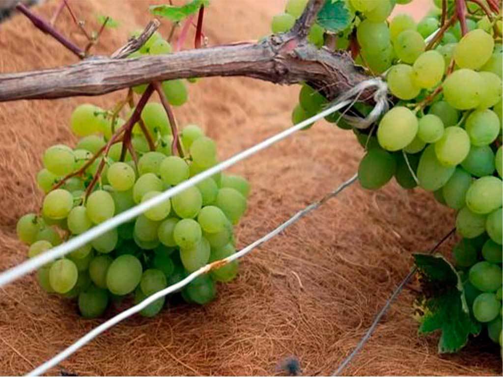 Круг приствольный Мульчаграм 90 см, комплект - 5шт ГеоПластБорд GPBST-246 - Вид №10