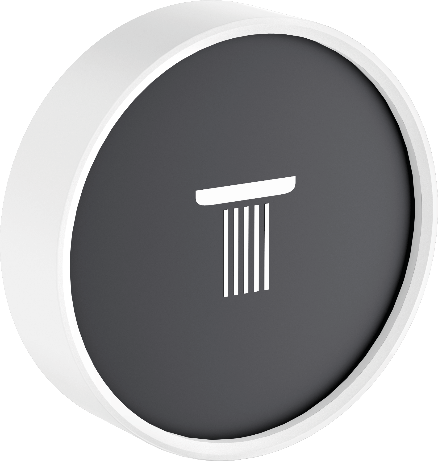 25013700 Душевая лейка для верхнего душа RainButton Symbol 02 Hansgrohe 