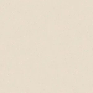 3365-45 Обои A.S. Creation Bjorn