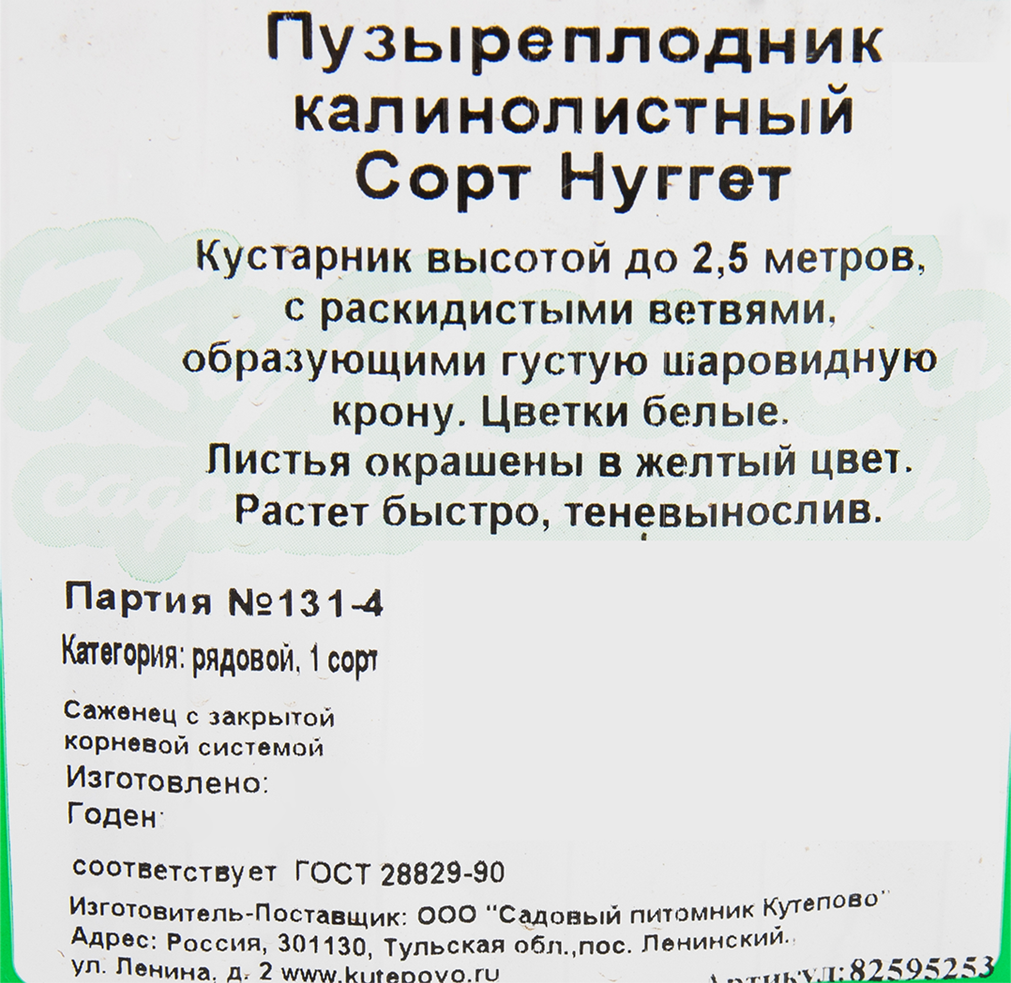 Пузыреплодник Нуггет Santreyd - декоративный кустарник для живых изгородей 82595253 STLM-0030957 - Вид №1