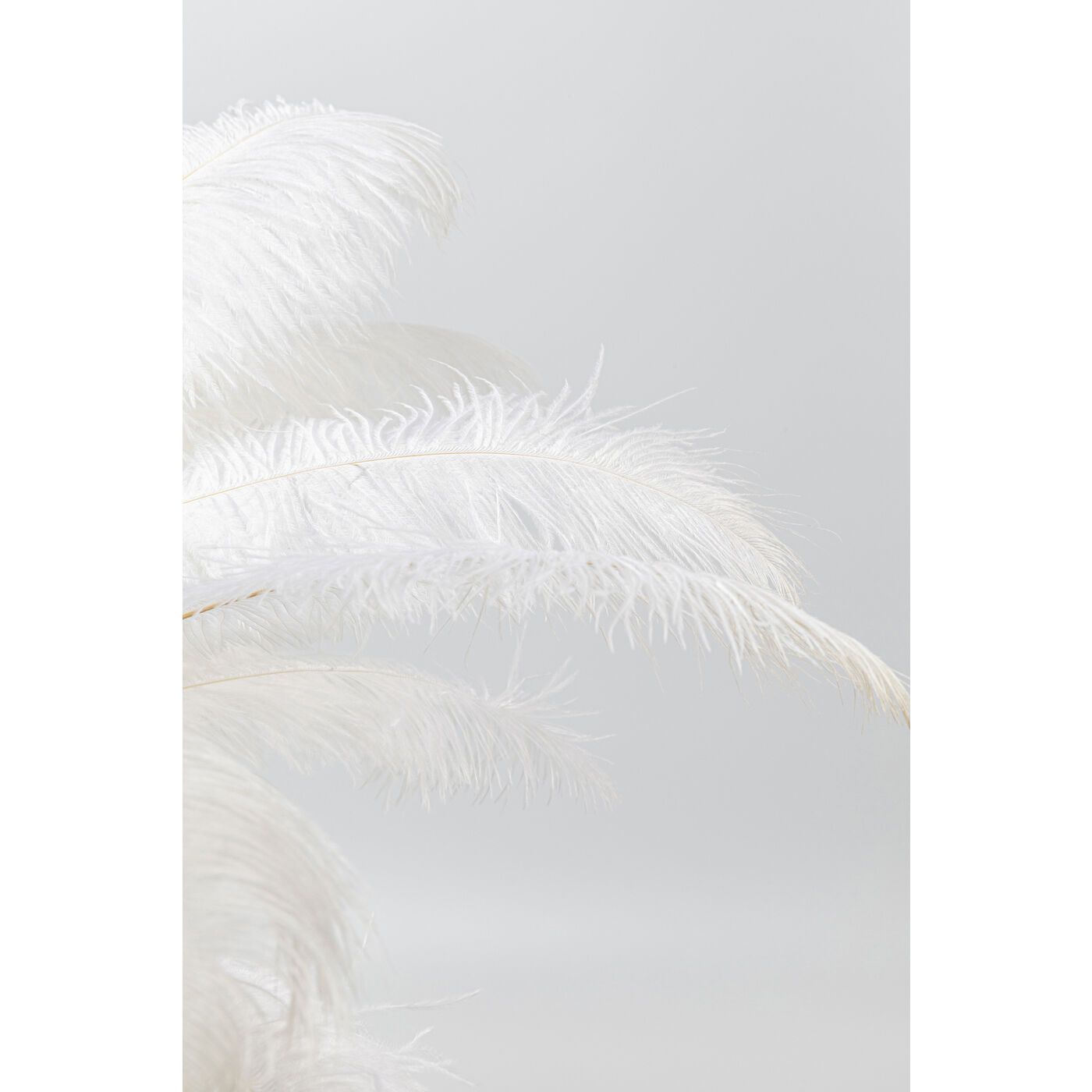 Настольная лампа с абажуром из страусиных перьев KARE Design FEATHER PALM ARCH-00129699 - Вид №10