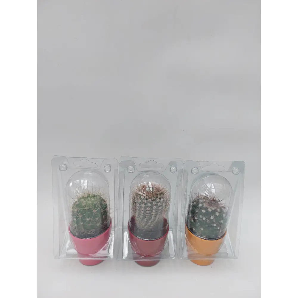 Santreyd: Набор декоративных кактусов для интерьера 3 шт 89296622 STLM-0826745