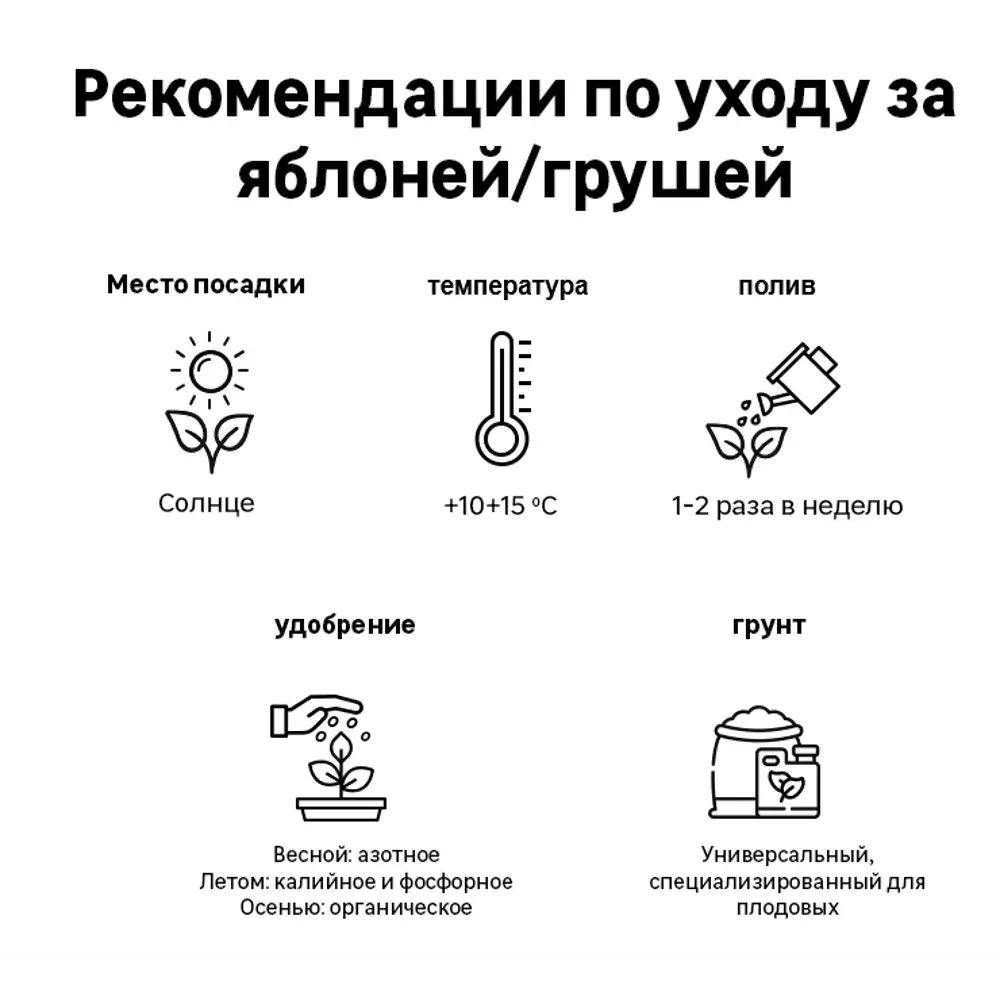 Яблоня «Голден делишес» C4 высота 120-150 см 82557705 STLM-2073368 ВСЕ В САД  - Вид №1