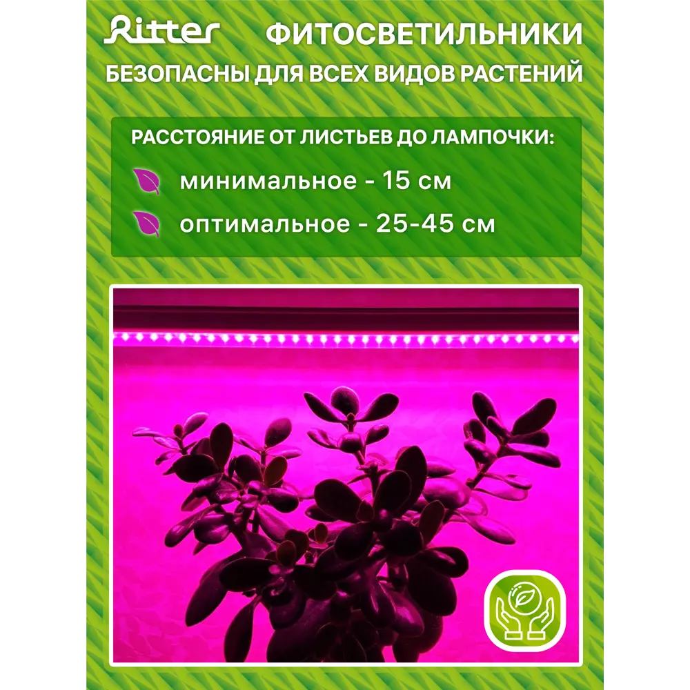 Фитосветильник линейный светодиодный Ritter 14 Вт 872 мм на кронштейне с присосками 56301 3  красно-синий спектр розовый свет STLM-2025009 - Вид №11