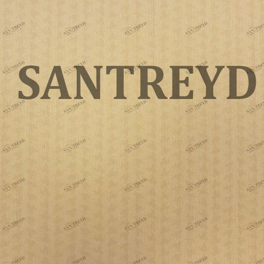 79417 Обои Rasch Selected