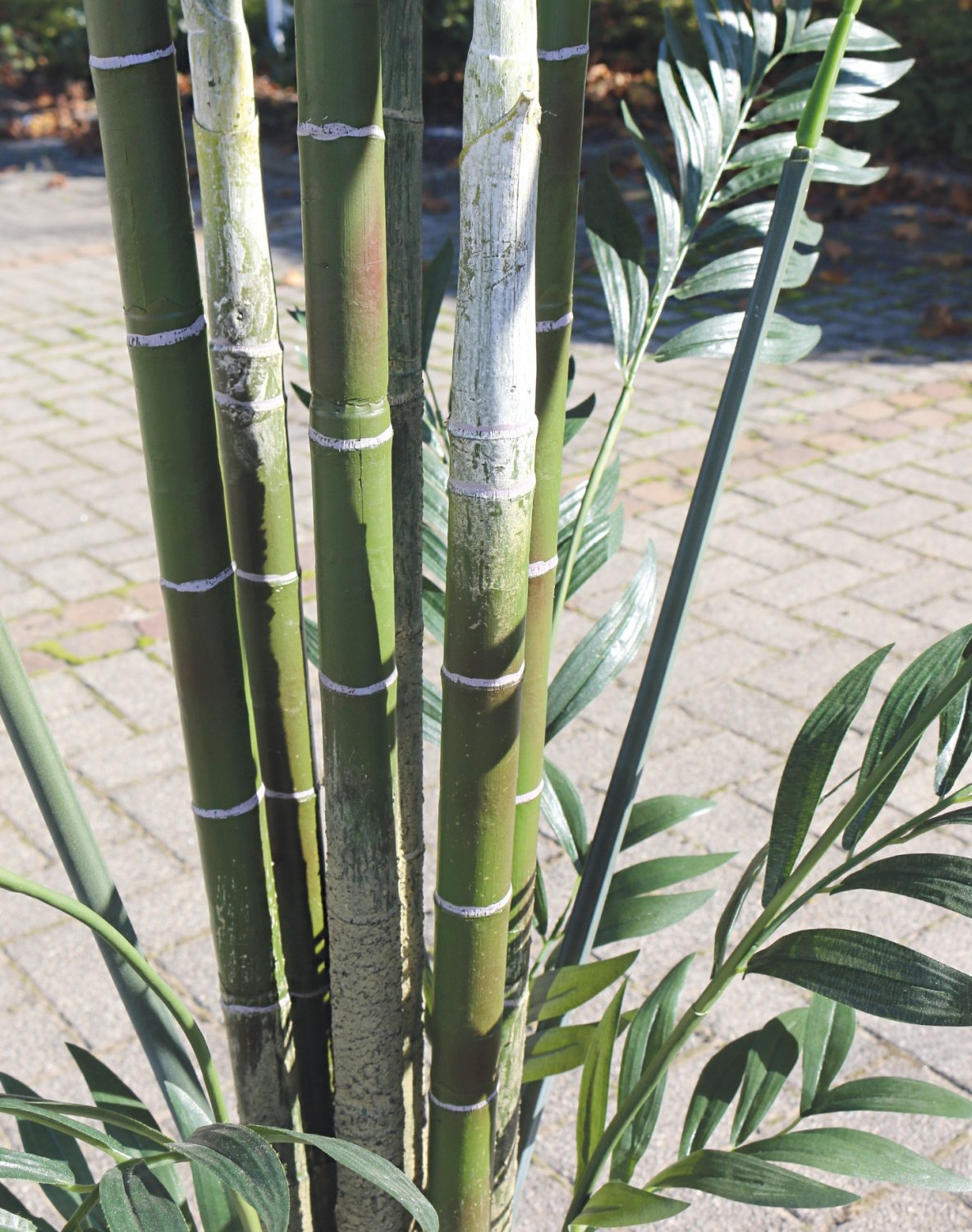 5453 883 a3 Искусственная пальма Kentia, горшечная, 270 см, зеленая H-andreas 