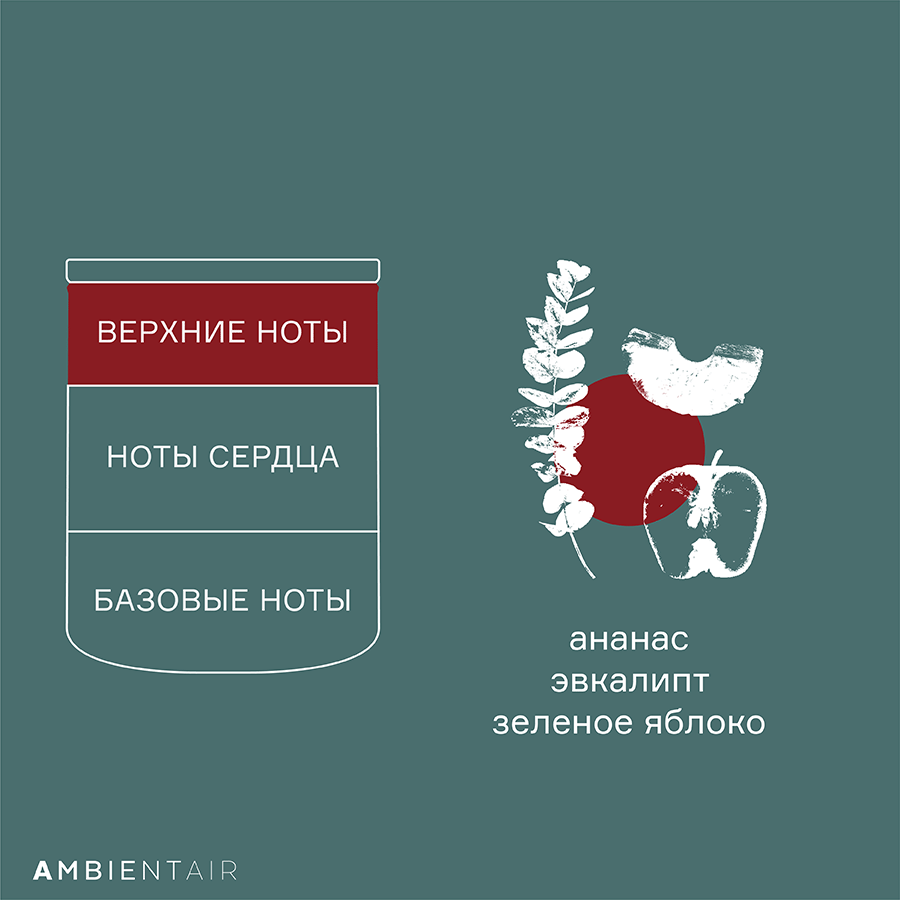 VV401MCTO Свеча ароматическая gifting, Корица и яблоко, 40 ч Ambientair  - Вид №4