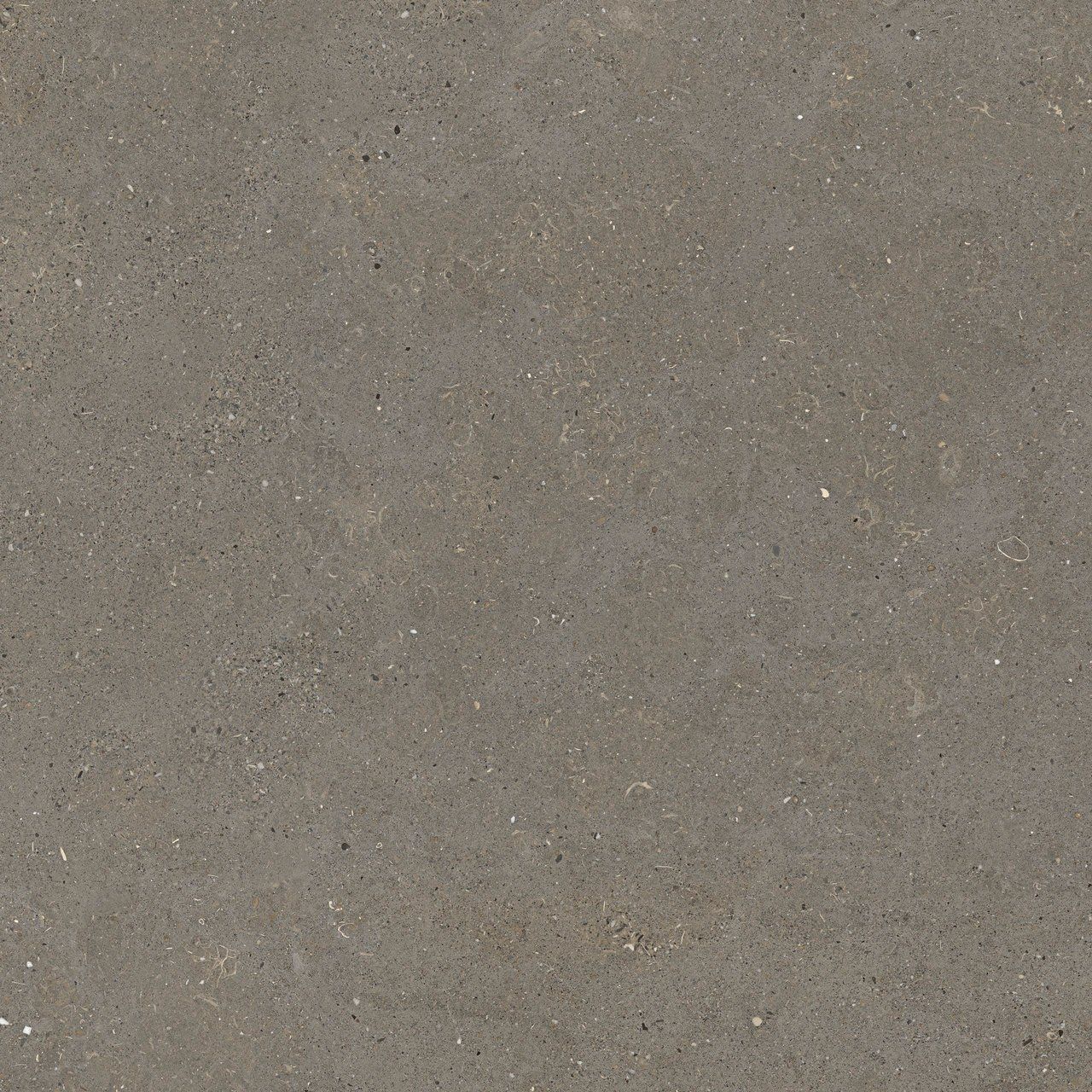 Пол / облицовка керамогранита с эффектом камня Fiandre сплошная ARCH-00087079 - Вид №26