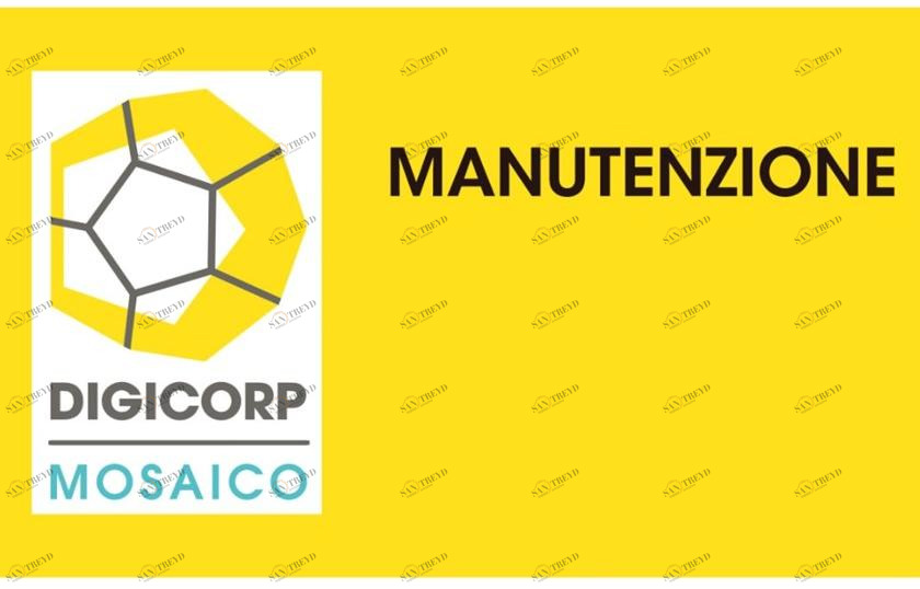 DIGI CORP План работ по ТО (дпр 554 99) Suitemosaico sun-id-1362045