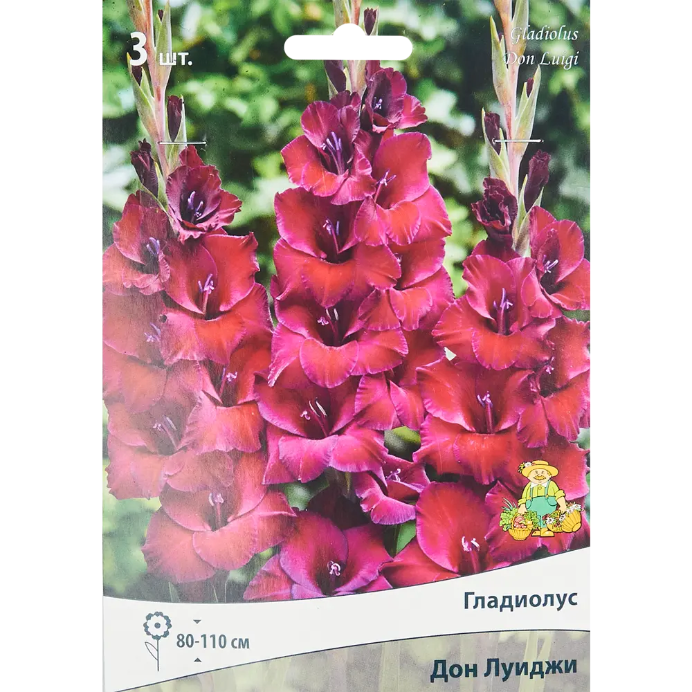 Гладиолус крупноцветковый Дон Луиджи, 3 шт 86410030 STLM-2123527 ПОИСК 