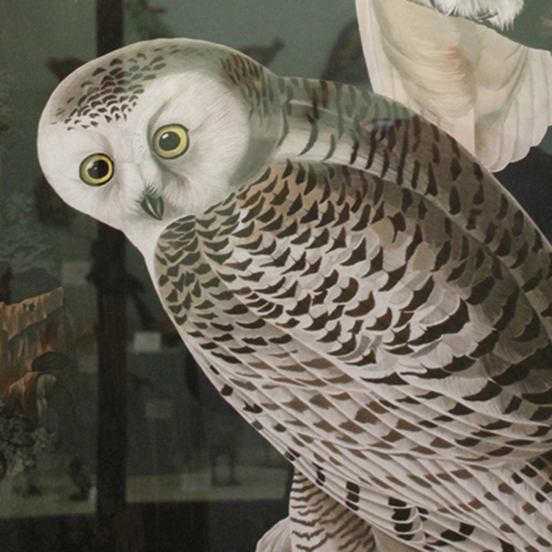 2279/CX38 Картина 2279 Adriani e Rossi 