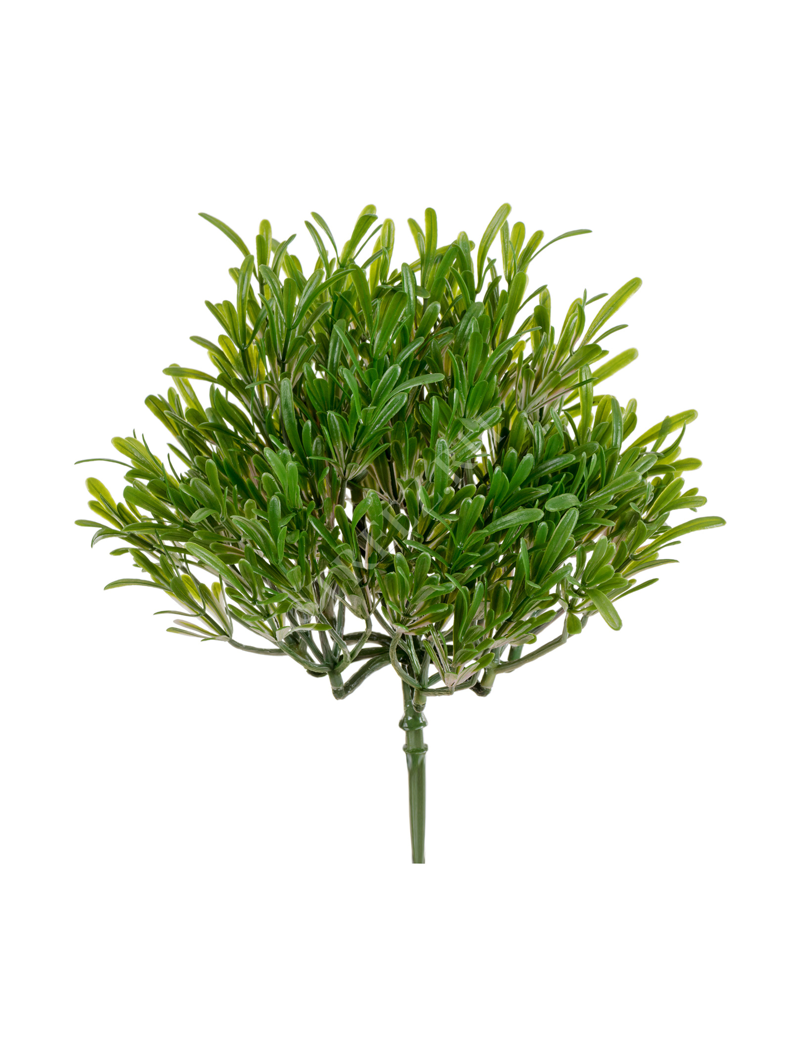 20.0219068GPN Трава Розмари Фэт куст (2 размера) Цветочная коллекция  - Вид №2