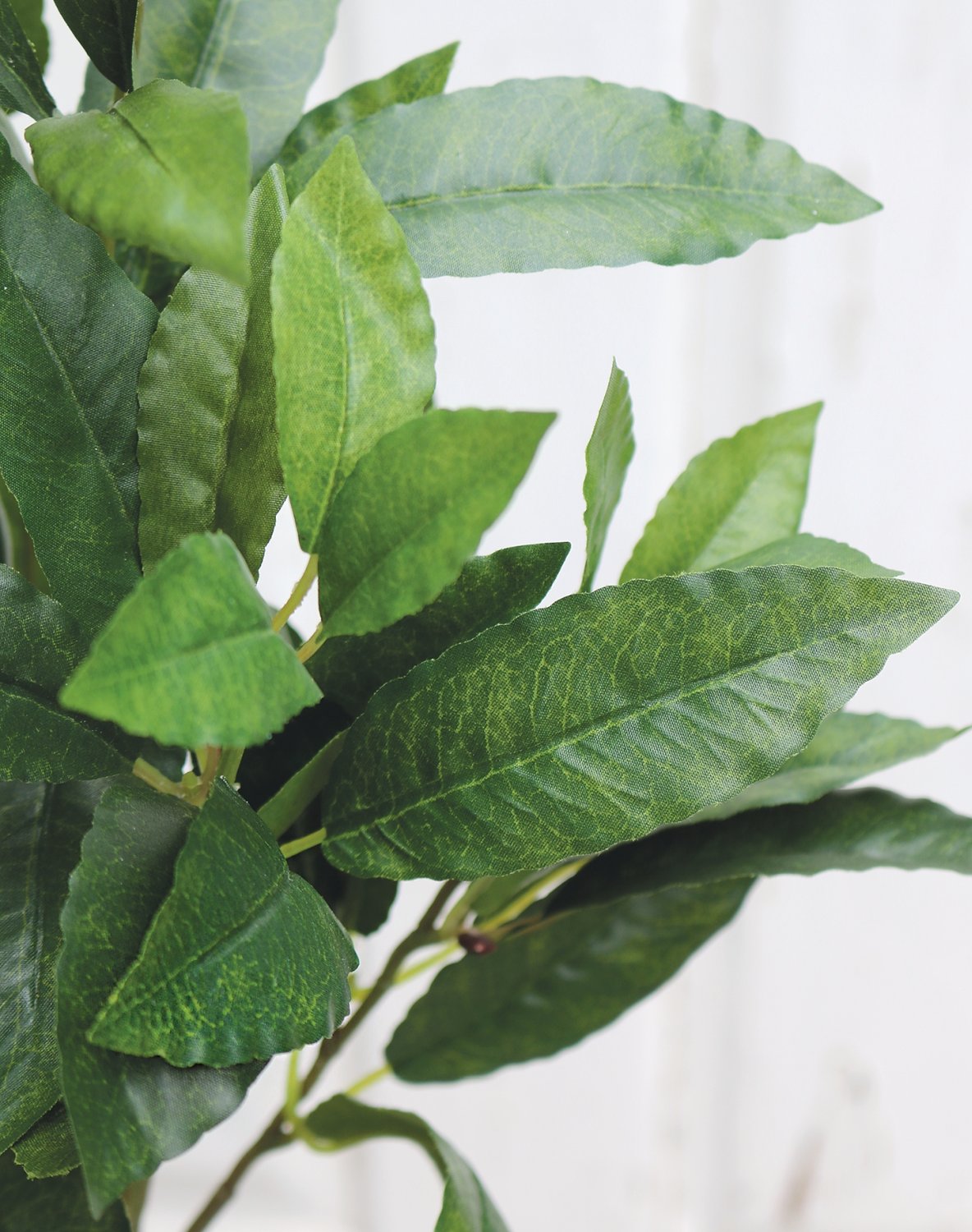 6795 883 a3 Куст искусственного лавра, 50 см, зеленый H-andreas  - Вид №1