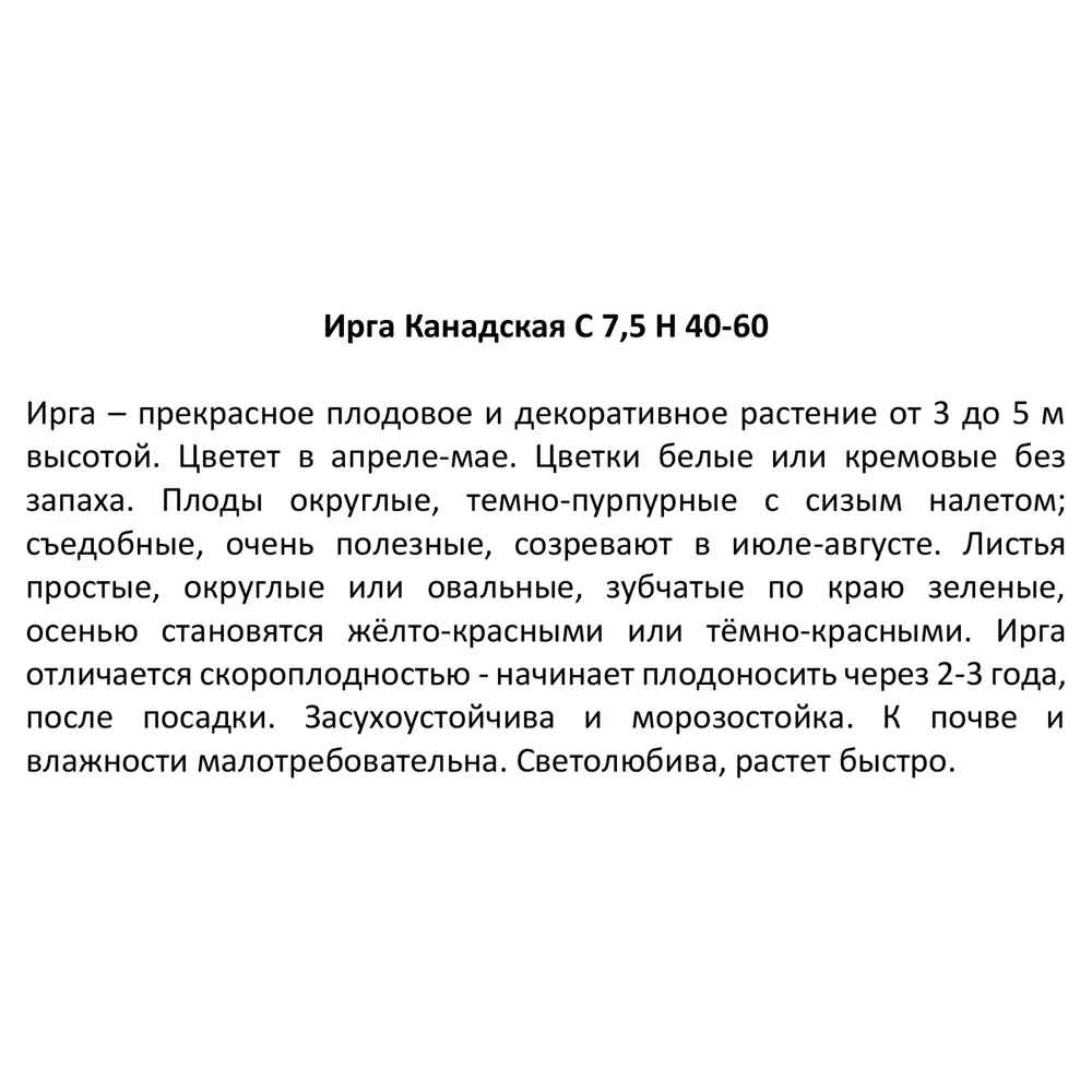 Ирга канадская ø25 h40 - 60 см 85325479 STLM-2132078 Santreyd  - Вид №2