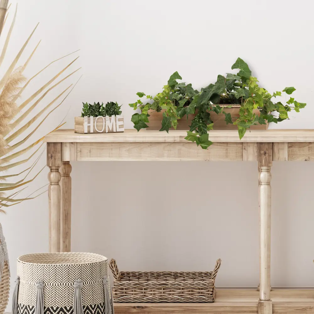 Santreyd Плющ вечнозеленый для вертикального озеленения в кашпо 16 см 82649976 STLM-0032830 - Вид №2