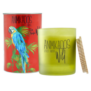 VV040CPAW Свеча ароматическая wild parrot, Цитрусовый, 40 ч Ambientair