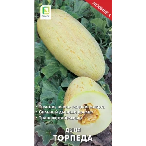 Семена овощей Поиск дыня Торпеда 15 шт. 86217770 STLM-2047208