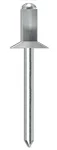 Заклепки RV 00 40 020 RV00 Tecfi 4 х 20
