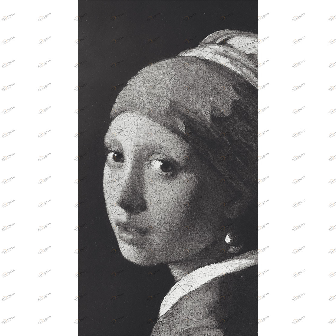 Рулон обоев SO WALL 2 SWL27499622. Основа нетканый материал Casadeco