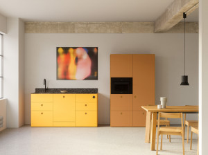 Встроенная кухня