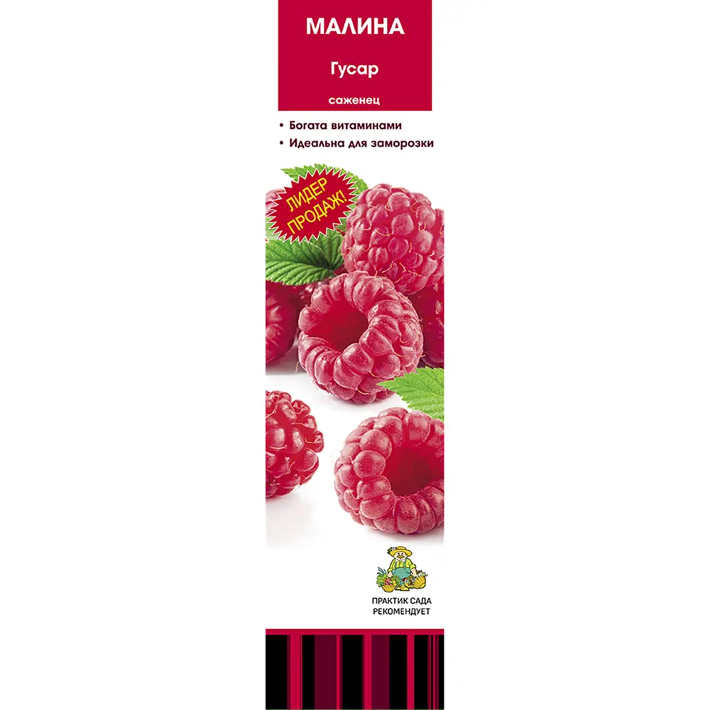 Малина традиционный Гусар коробка h39 см 89408247 STLM-2139500 Santreyd 