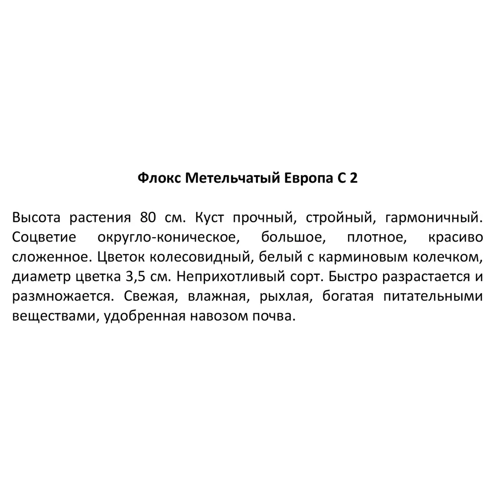 Флокс метельчатый (С2) 16572679 STLM-2083504 Santreyd  - Вид №3
