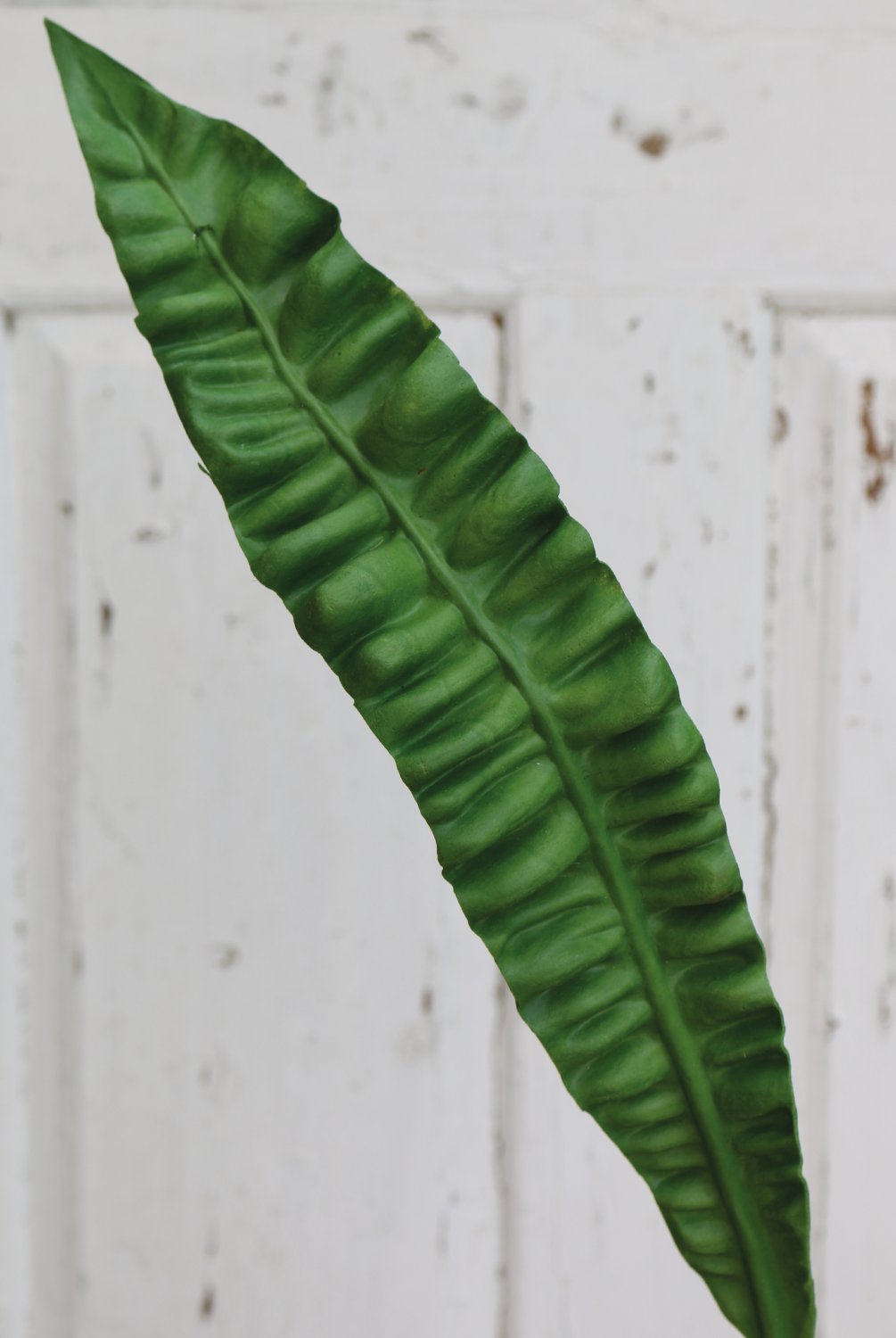 5884 883 a3 Лист папоротника искусственное гнездо, 97 см, зеленый H-andreas  - Вид №4