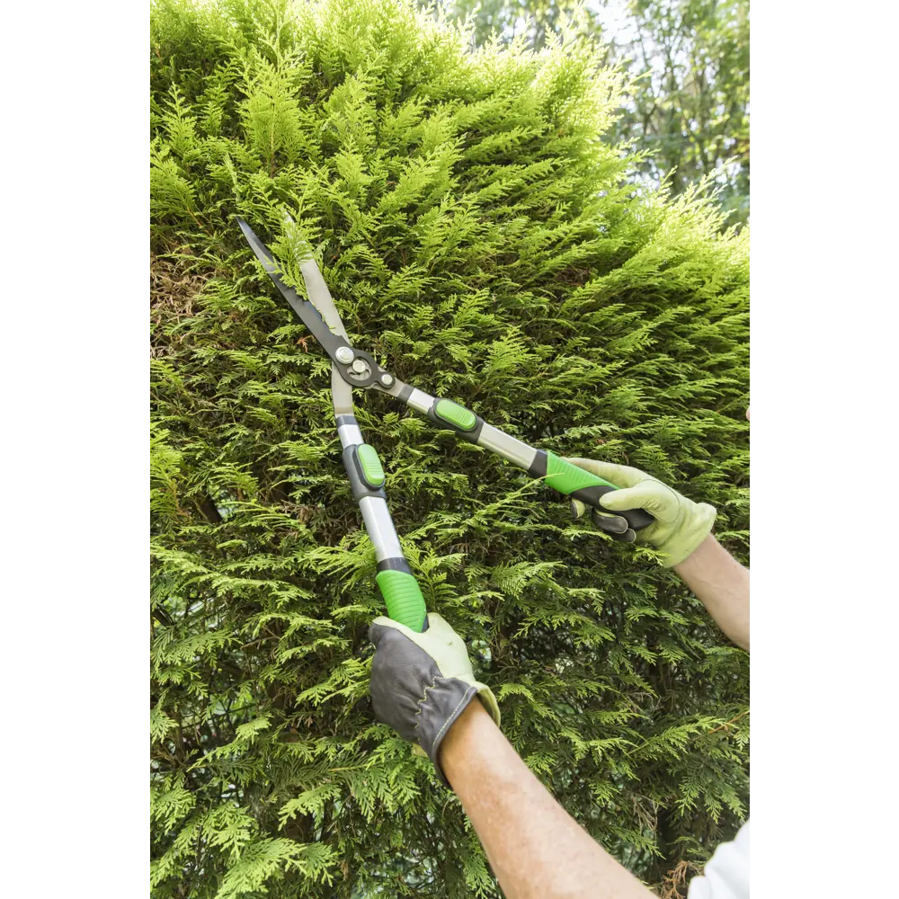 Телескопические ножницы для кустарников Geolia с регулируемой ручкой 81966060 STLM-0015862 - Вид №9