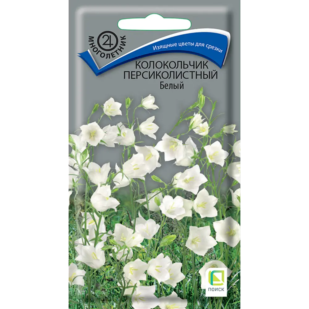 Колокольчик персиколистный белый ПОИСК - изящные цветы для сада и букетов 89401225 STLM-1575817