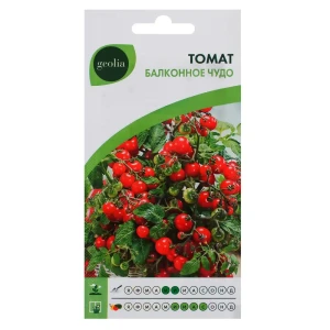 Томат Балконное чудо GEOLIA - миниатюрный сорт для домашнего огорода 17585316