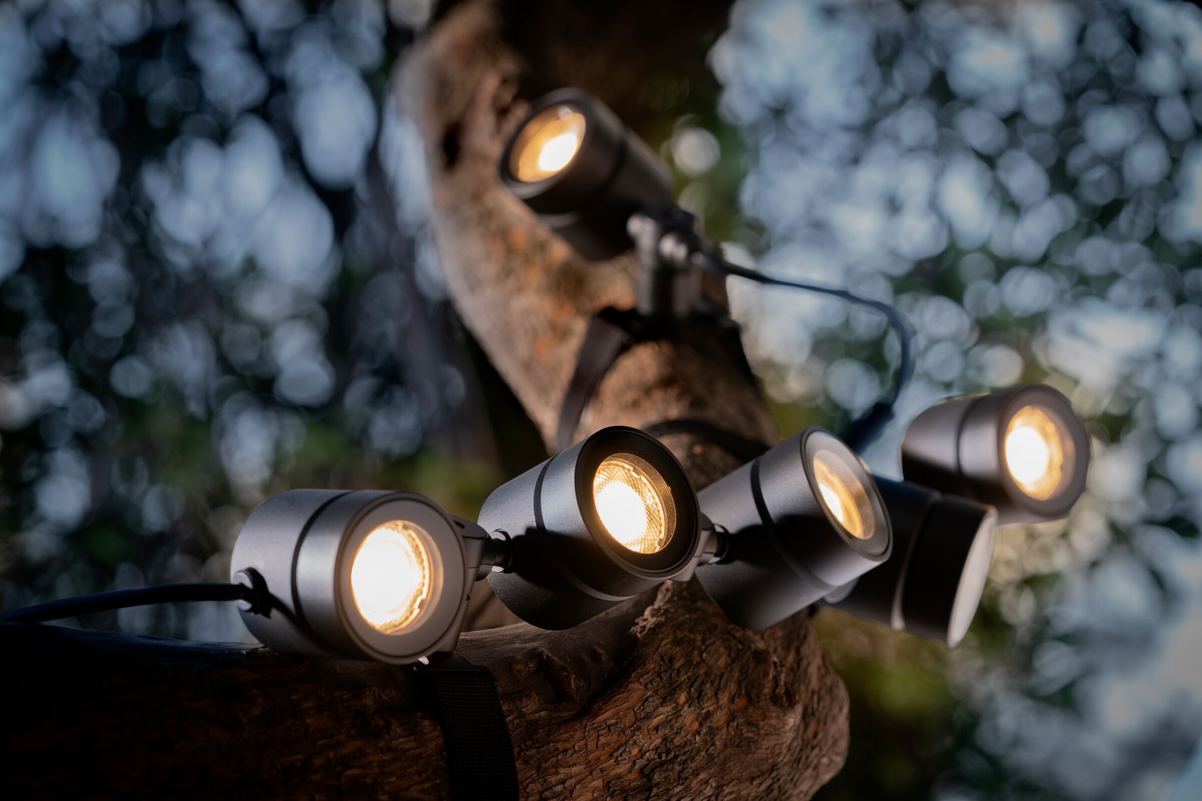 Регулируемый светодиодный наружный прожектор TARGETTI CATIRPEL ARCH-00029740 - Вид №1