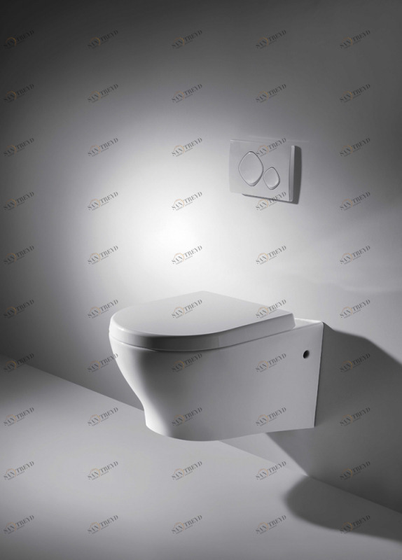 C01017UW-A-ENG Подвесной унитаз настенный Белый Bravat Rael Китай