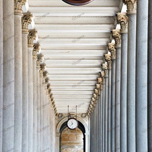 C1-280 Фотообои DIVINO Collection C 2.7х1 м C1280