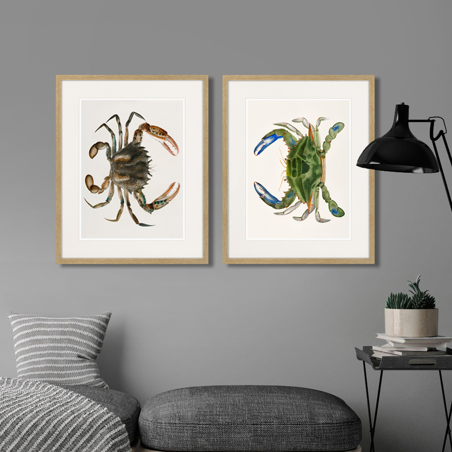 Картина: Marine life №1, 1725г. КАРТИНЫ В КВАРТИРУ  264303 Разноцветный  - Вид №2