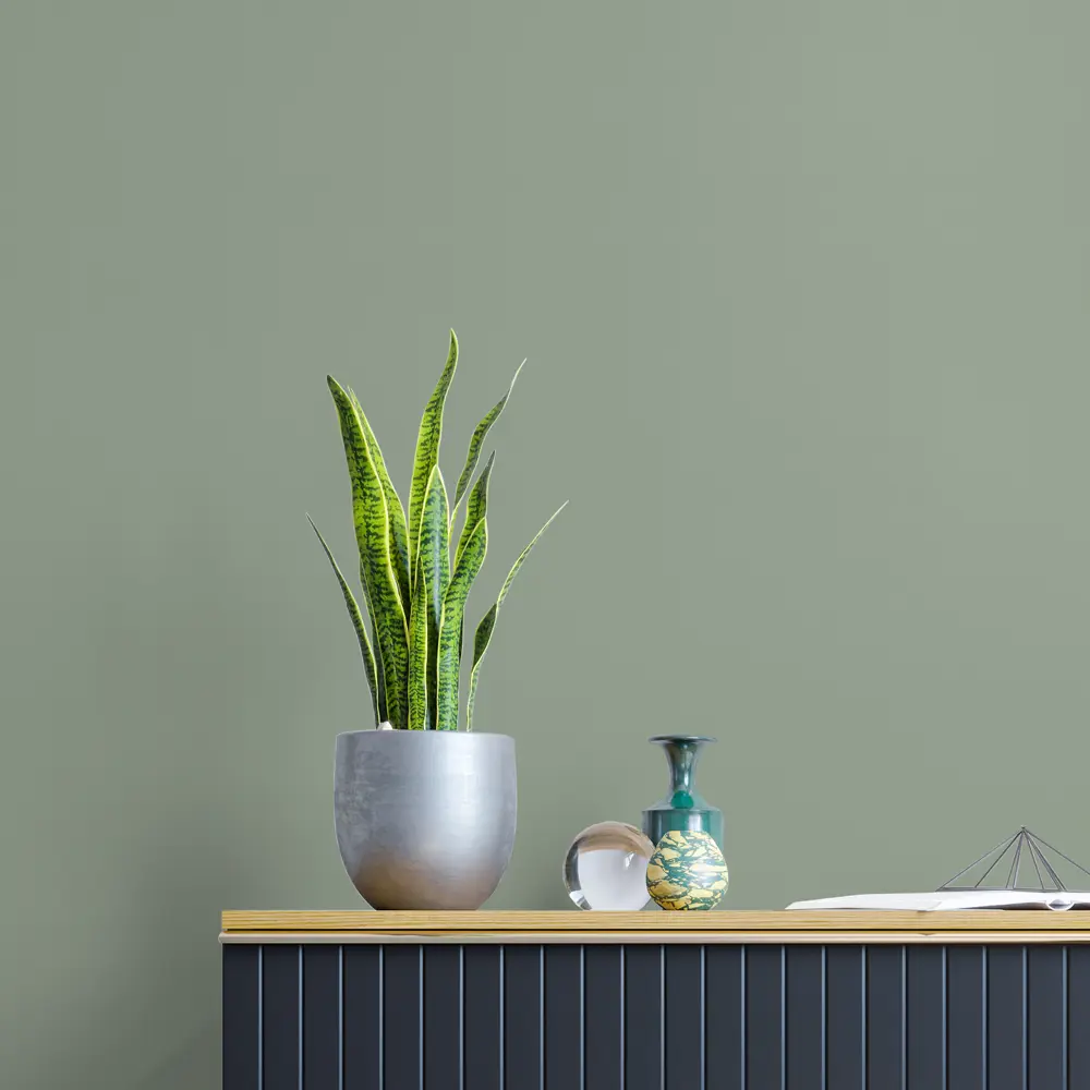 Обои флизелиновые KREAFORTA Palau - изысканный зеленый для современного интерьера 89413547 STLM-1567208 - Вид №4