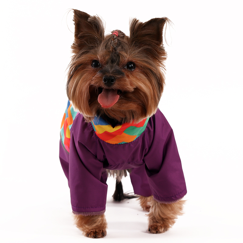 ПР0051107 Комбинезон для собак Спектр мал. (фиолет) р-р S 20 см YORIKI  - Вид №1