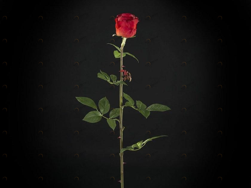 VGnewtrend Искусственное растение из полиэстера sun-id-1389321