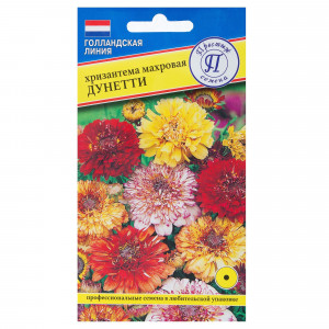 17301512 Хризантема махровая «Дунетти»