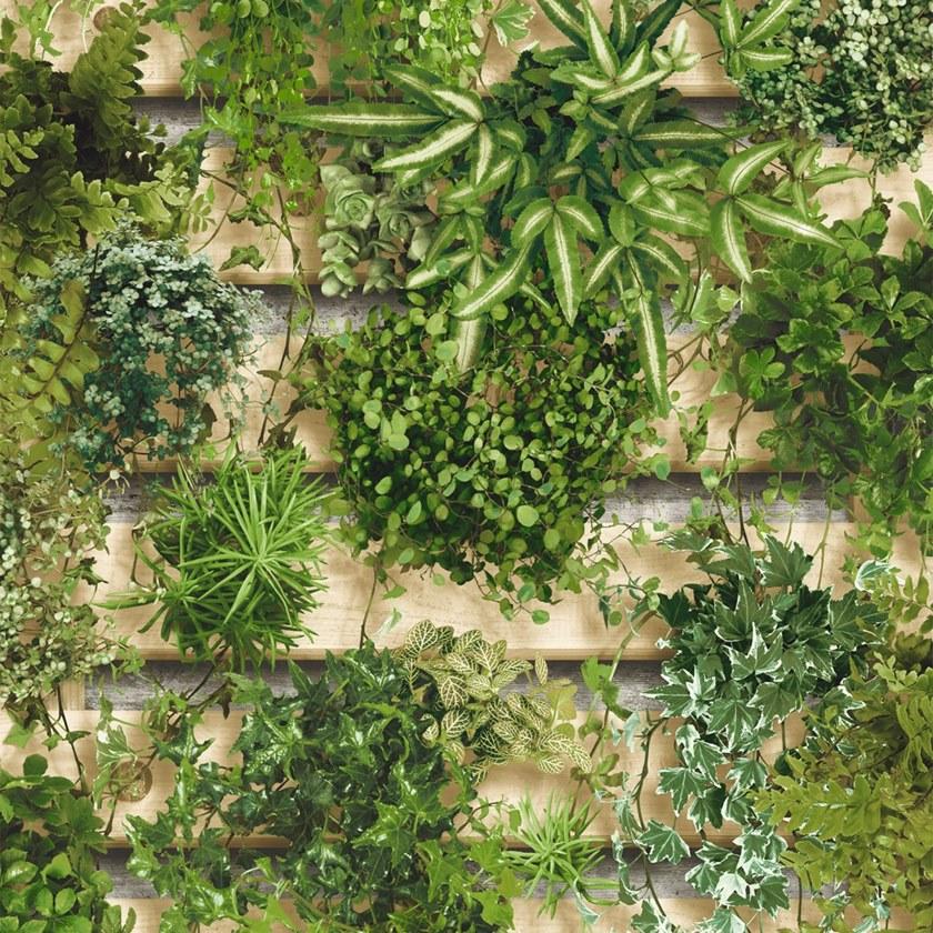 Koziel Обои на стену  8888-412  - Вид №1